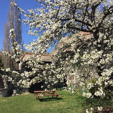 Holiday home Chateau Du Vigny - *