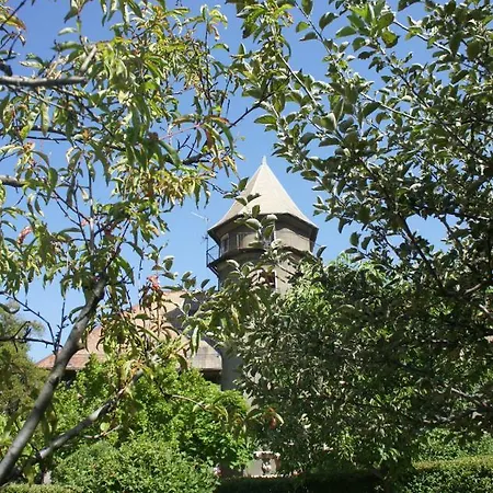Ferienhaus Chateau Du Vigny - *